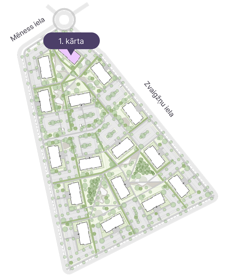 Map basis